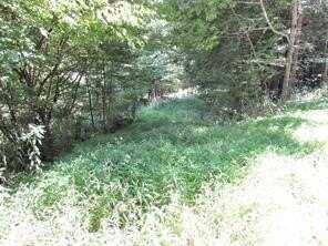 Lot 29 Sackett Creek Road, Nichols, NY 13812