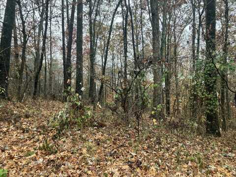 4 Timber Ridge, Kimball, TN 37347