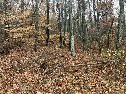 5 Timber Ridge, Kimball, TN 37347