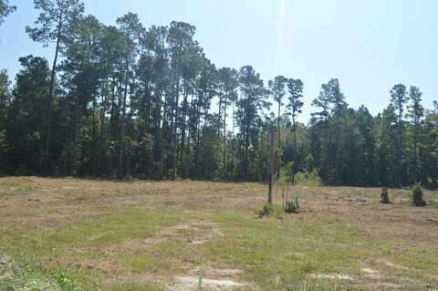 Lot 2 Cypress Dr., Little River, SC 29566