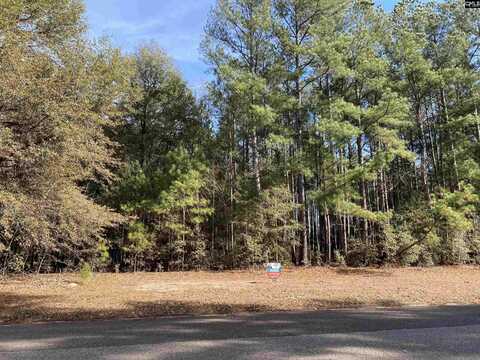 Wexford Mill Drive, Wagener, SC 29164