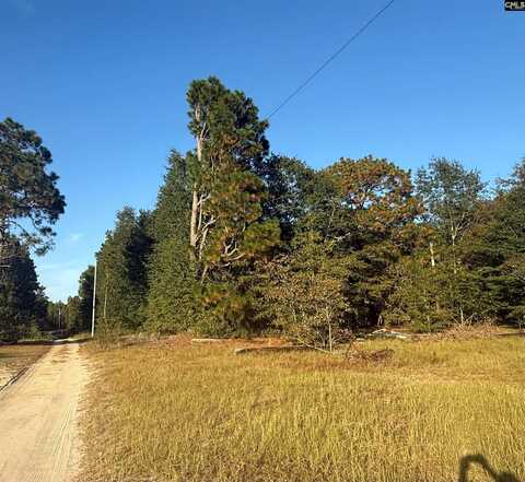 480 Tom Adams Road, Leesville, SC 29070
