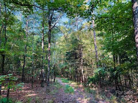 1123 Forneyville Road, York, SC 29745