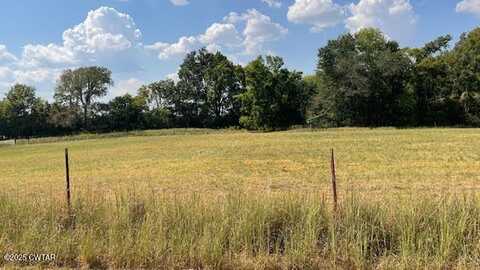 00 Old Dyersburg Road, Dyer, TN 38330