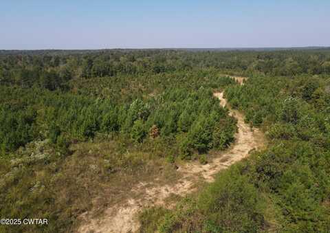 Tract 5-6 Old Hwy 69, Sugar Tree, TN 38380