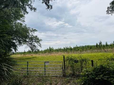 209th Ave, Old Town, FL 32680