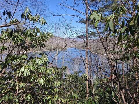 Vess Owen road, Tuckasegee, NC 28783