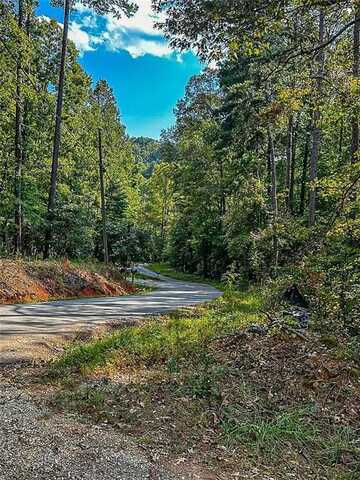 Trct 1 Lawrence Road, Dawsonville, GA 30534