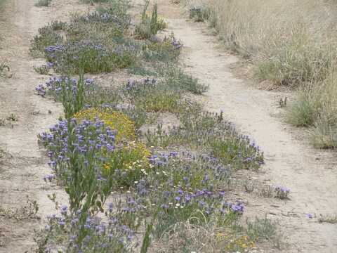 Canyon Road, Laguna, NM 87026