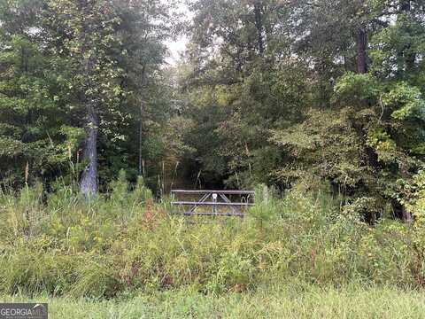0 Smith Chapel, Lizella, GA 31052