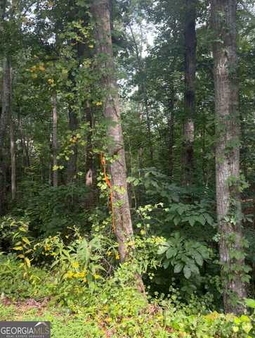 0 CROOKED, Gainesville, GA 30506