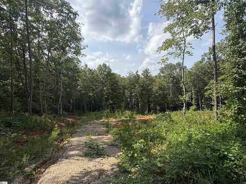119 Tugaloo Road, Landrum, SC 29356