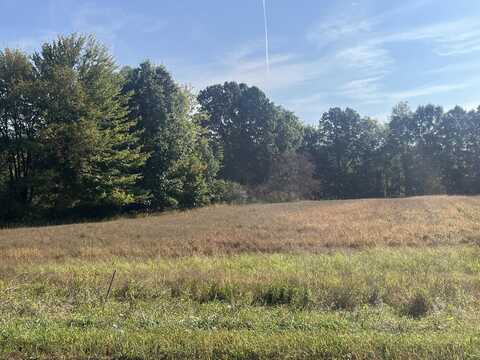 Vl N Williamston Road, Dansville, MI 48819
