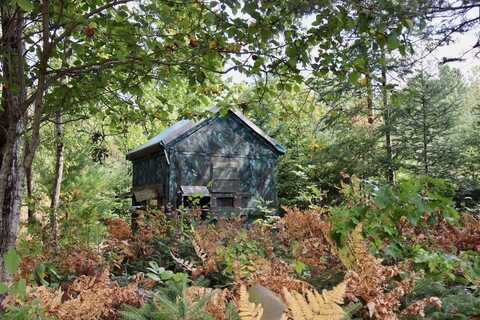 11920 Cedar Road, Lake, MI 48632
