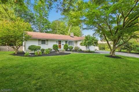 9 Overhill Dr, Madison, NJ 07940