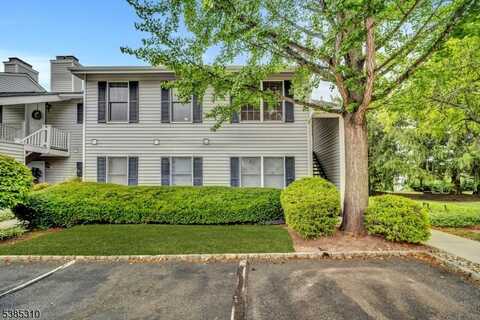262 Kingbird Ct, Readington, NJ 08887