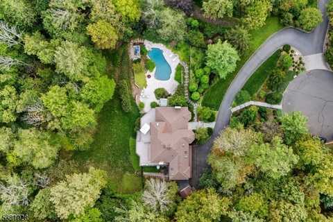 12 Tamarisk Ct, Bernardsville, NJ 07920