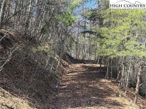 Tbd Lot 30 Shawnee Trail, Jefferson, NC 28640