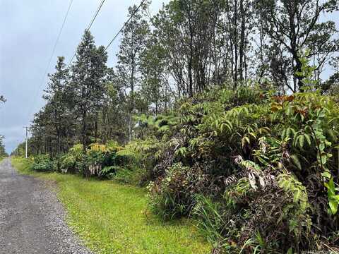 11-2697 Ohialani Road, Volcano, HI 96785
