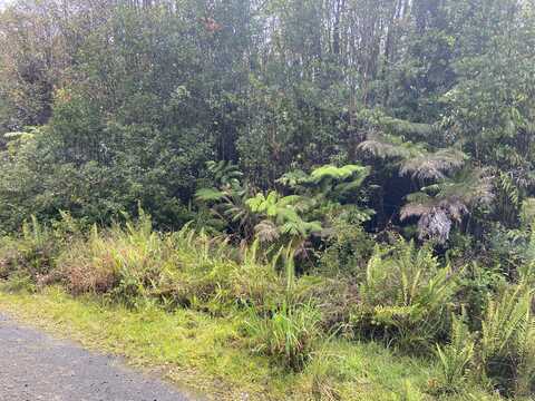 ROAD 4, Volcano, HI 96785