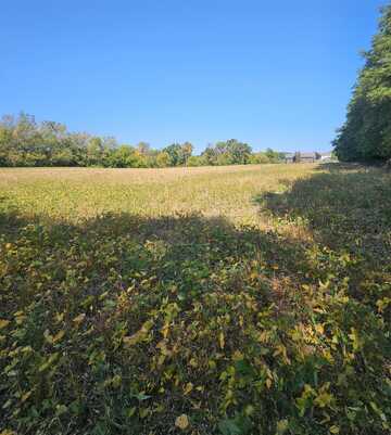 VL Thorne Road, Horton, MI 49246
