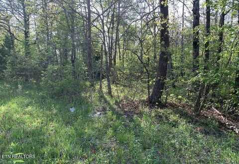 1035 Redwing Drive, Crossville, TN 38572