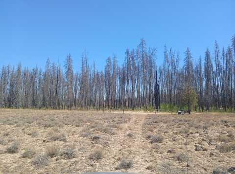 0 White Oak Lane, Beatty, OR 97621