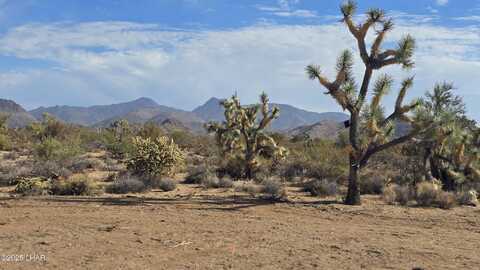 166 S Cattle Crossing Rd, Yucca, AZ 86438