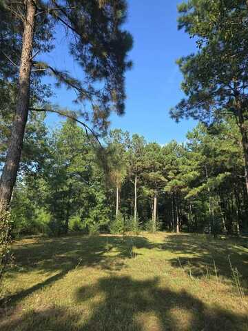 12777 FM 252, Kirbyville, TX 75956