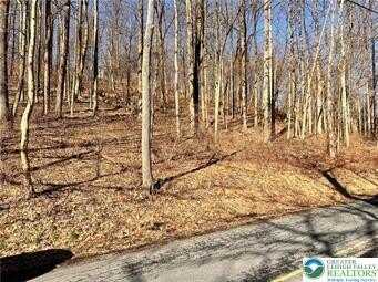 6252 Hickory Road, SLATINGTON, PA 18080