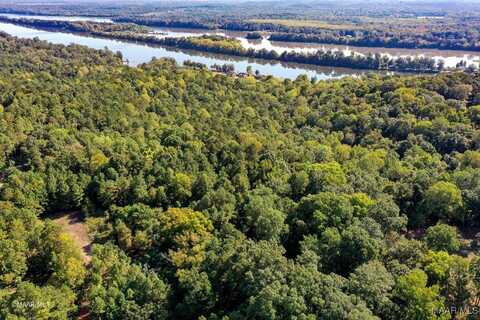 Riverview Landing Drive lot: 63 & 63A, Camden, AL 36726