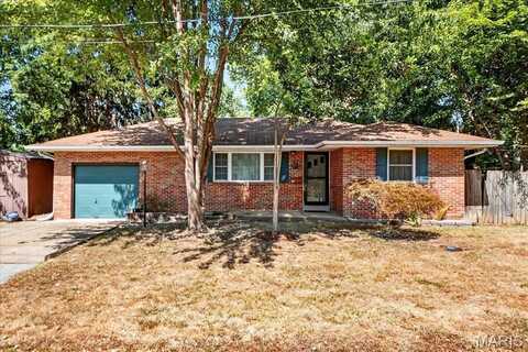 117 W Wickliffe Avenue, Collinsville, IL 62234