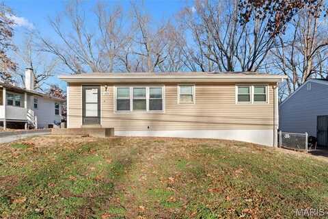169 Bascom Drive, Hazelwood, MO 63135