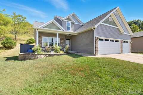 203 Chadwyck Circle, Herculaneum, MO 63048