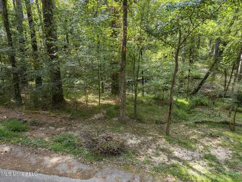0 Drexel Circle, Clinton, MS 39056