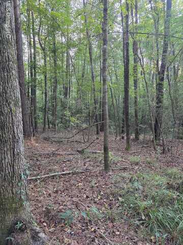County Rd 155, Stringer, MS 39481