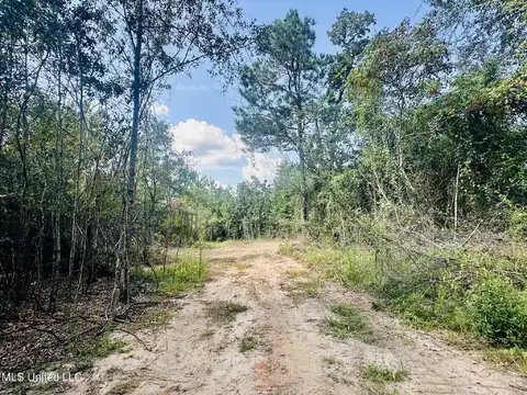 7.9 Acres Man Moulds Road, Leakesville, MS 39451