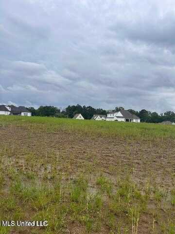 Mulberry Dr, Brandon, MS 39047