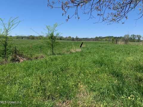 9 Baldwin Road, Hernando, MS 38632