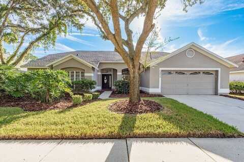 12425 SEABROOK DRIVE, TAMPA, FL 33626
