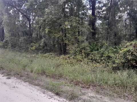 Tbd NE 292ND AVENUE, OLD TOWN, FL 32680