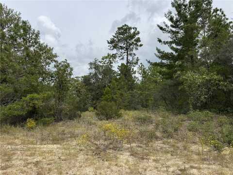 4468 W MALALUKA CIRCLE, CITRUS SPRINGS, FL 34433