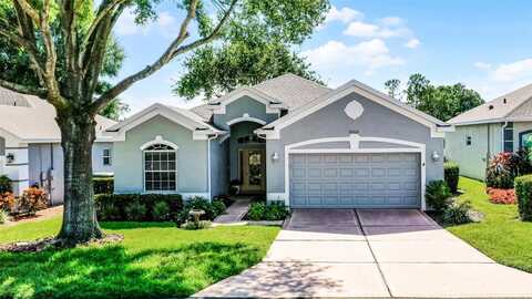 4196 GREENWICH COURT, CLERMONT, FL 34711