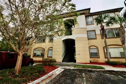 17101 CARRINGTON PARK DRIVE, TAMPA, FL 33647
