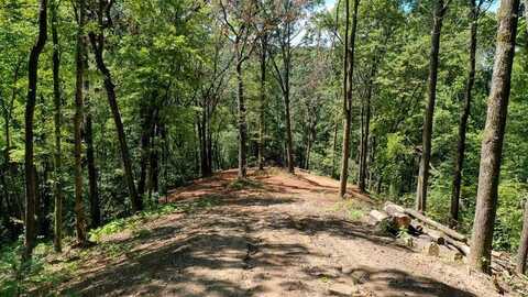 3 Black Rock Trail, ANDREWS, NC 28901