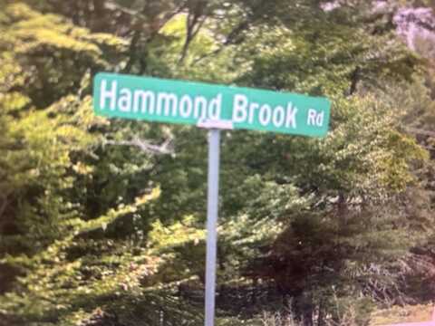 Lot #8 Hammond Brook Road Road, Monson, ME 04464