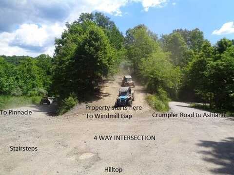 112 Ashland Crumpler Rd, NORTHFORK, WV 24868