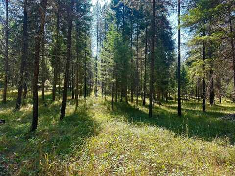NHN Sanders Loop Road S, Thompson Falls, MT 59873