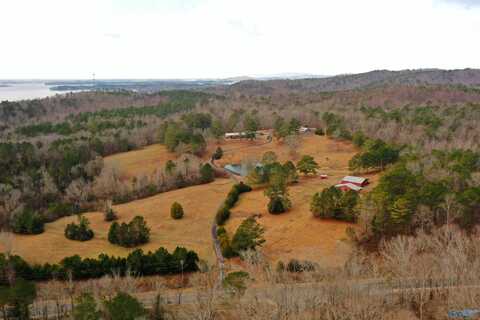 721 County Road 75, Cedar Bluff, AL 35959