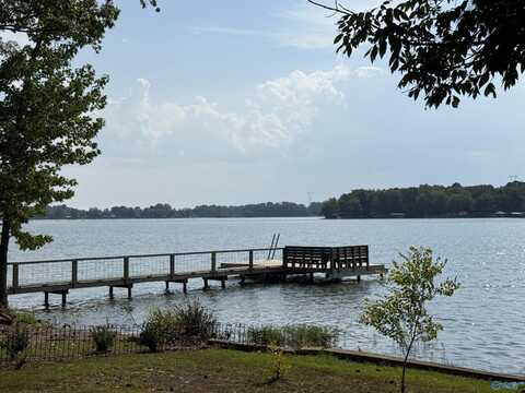 35 County Road 667, Cedar Bluff, AL 35959